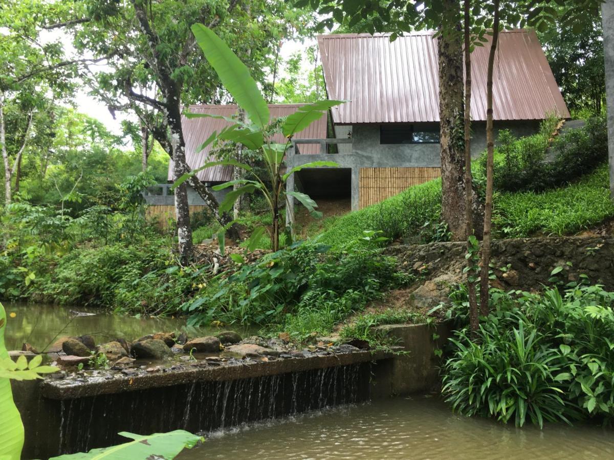 Baan Rai Me Rak Organic Farmstay Pa Khlok Kültér fotó
